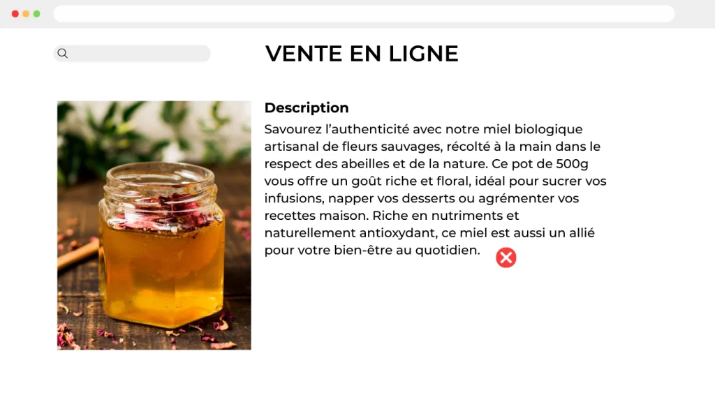 illustration d'un site de vente en ligne avec une description mal optimisé