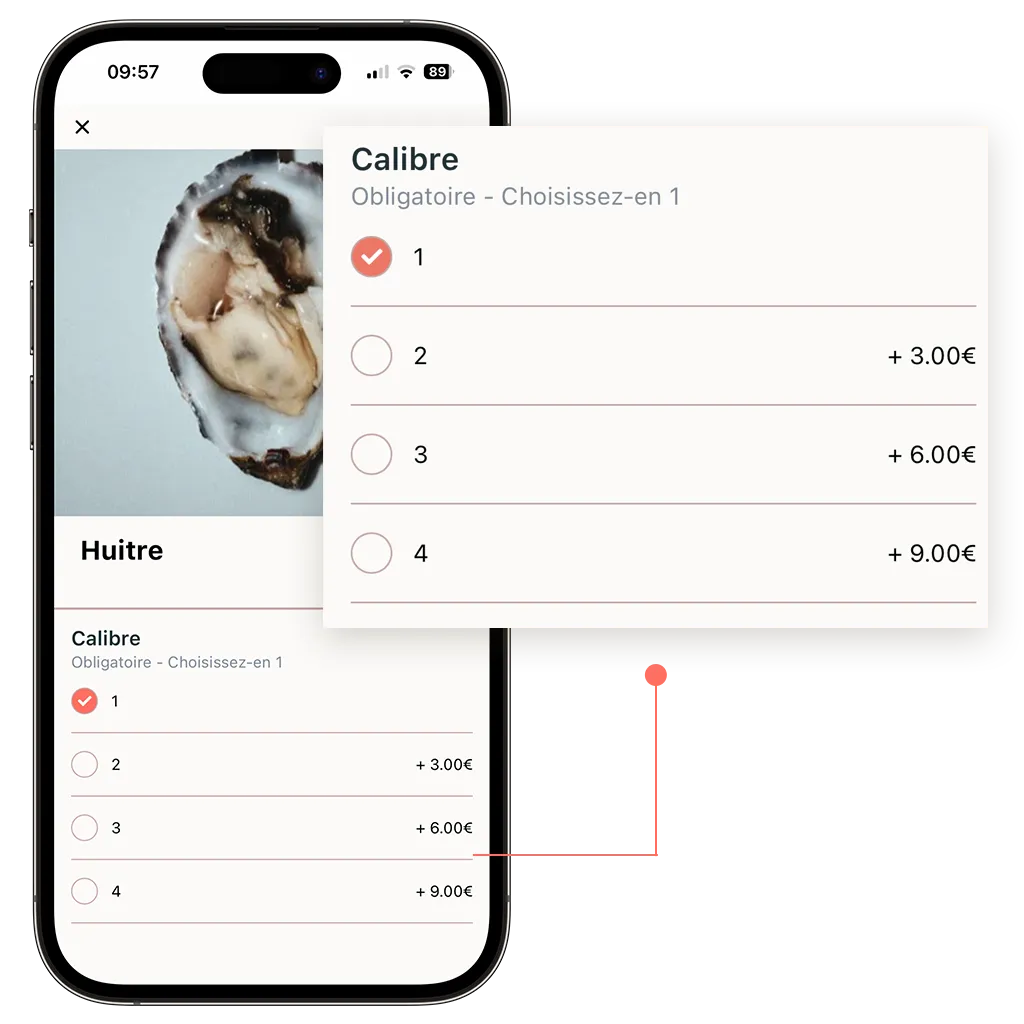 exemple d'option obligatoire à mettre pour une boutique en ligne de poissonnerie